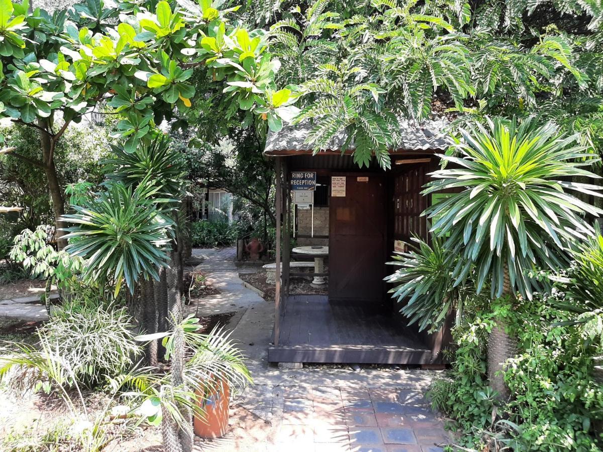 Elephant Walk Guesthouse And Back Packers Phalaborwa Exterior foto