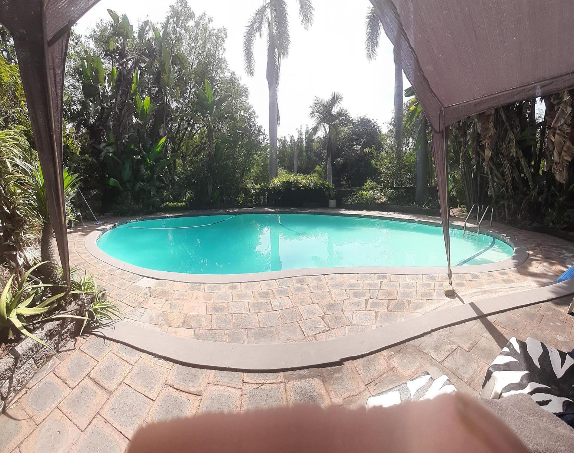 Elephant Walk Guesthouse And Back Packers Phalaborwa Exterior foto