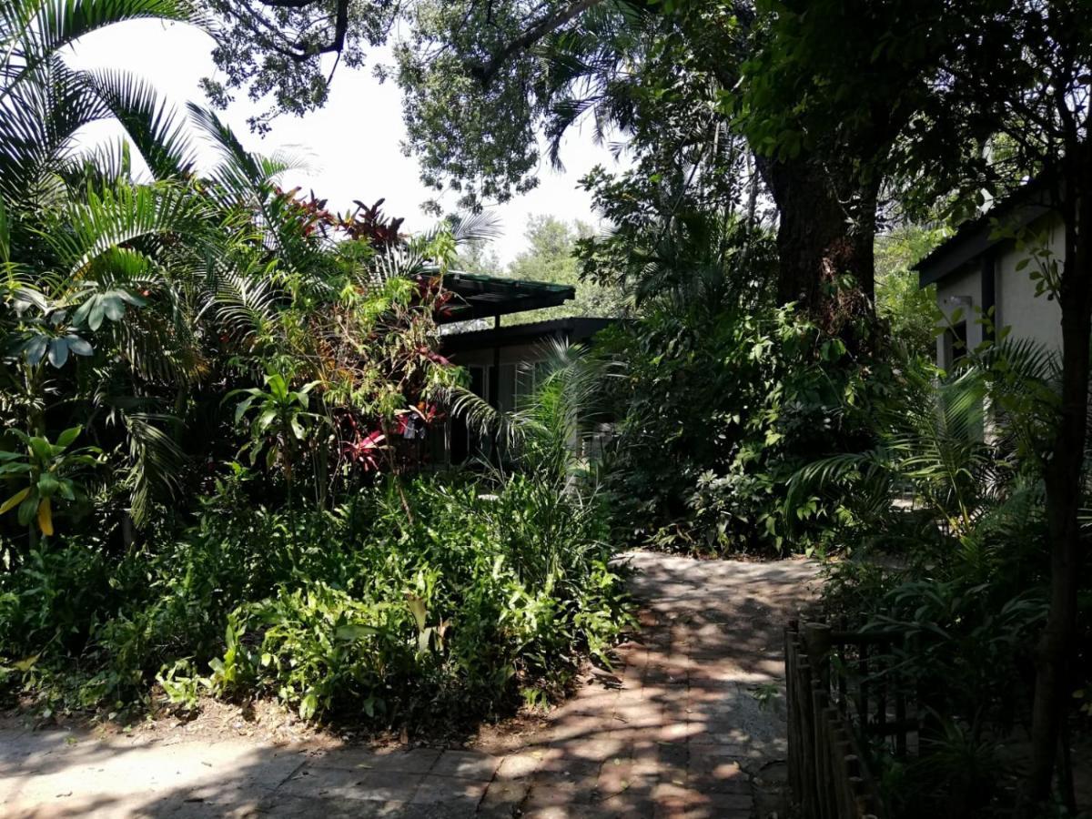 Elephant Walk Guesthouse And Back Packers Phalaborwa Exterior foto