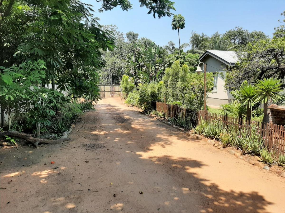 Elephant Walk Guesthouse And Back Packers Phalaborwa Exterior foto